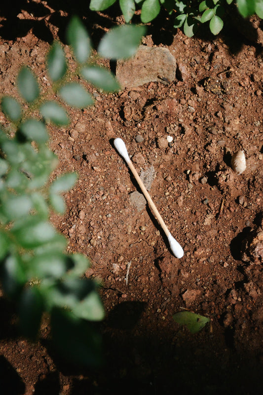 Bamboo Cotton Buds(Pack of 2 Boxes)