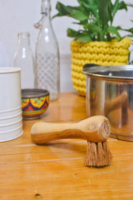 Coconut Fiber -Bone Brush