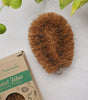 Coconut Fiber – Cleaning Kit (Pack of 5 Coir Brushes)