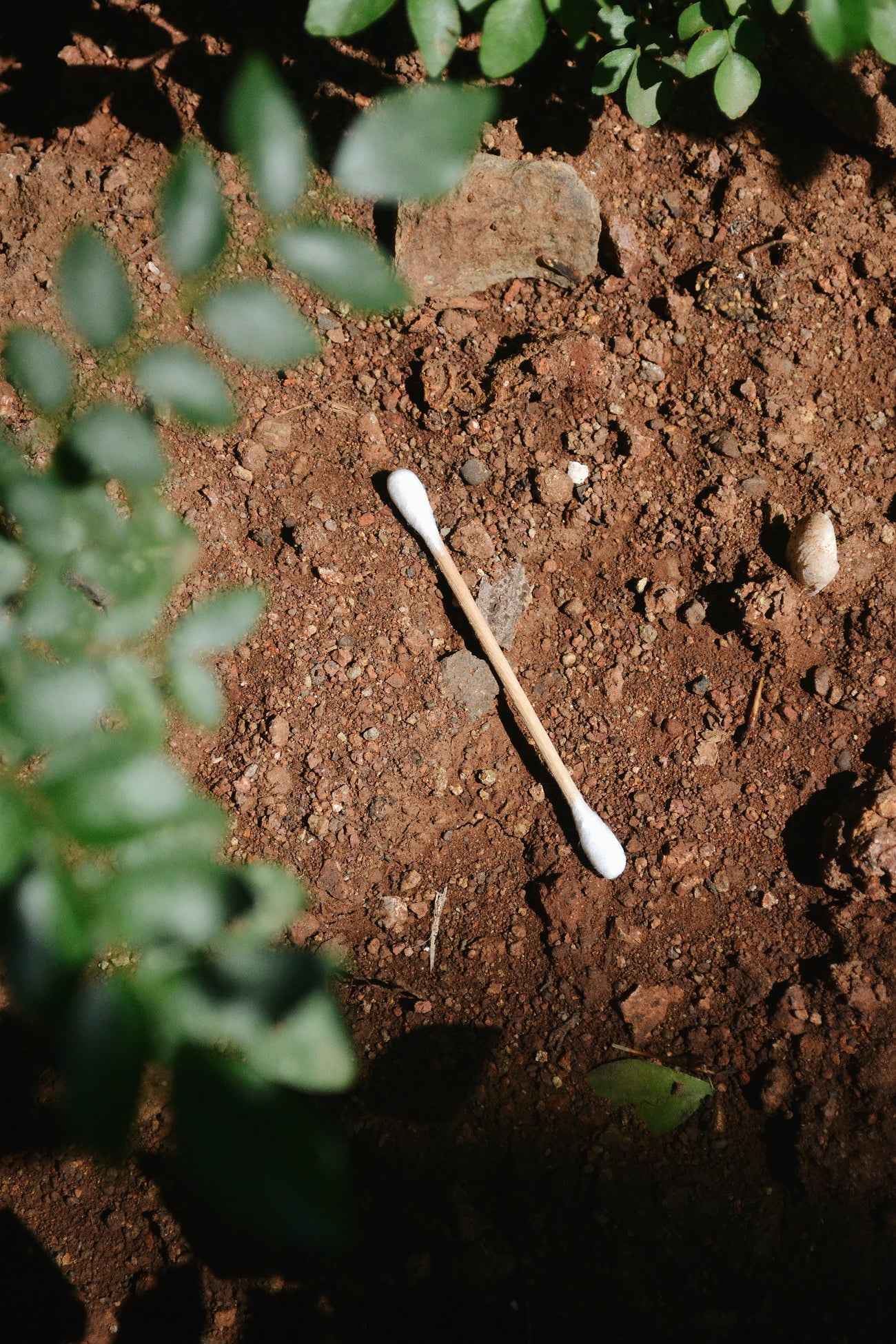 Bamboo Cotton Buds(Pack of 2 Boxes)