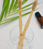 Bamboo Bristle Toothbrush (Pack of 2)