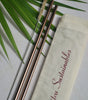 Reusable Copper Straw (Straight) Pack of 2 with Cleaner