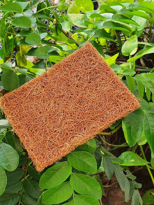 Cocoscrub Dish Wash Pads (5 pieces)