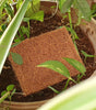 Cocoscrub Dish Wash Pads (5 pieces)