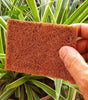 Cocoscrub Dish Wash Pads (5 pieces)