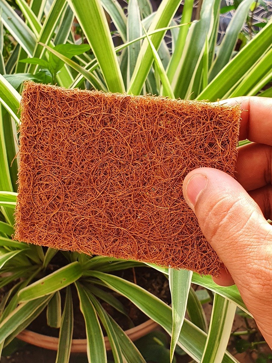Cocoscrub Dish Wash Pads (5 pieces)