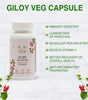 Daivik Moringa Giloy Veg Capsules | 100% Natural | Immunity Booster | 100 Caps Each