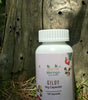 Daivik Moringa Giloy Veg Capsules | 100% Natural | Immunity Booster | 100 Caps Each