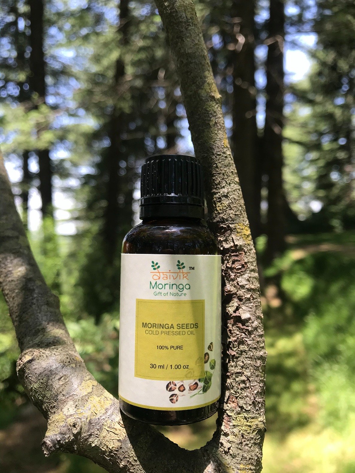 Daivik Moringa Seeds Cold Pressed Oil | 100% Natural | Hair Growth & Skin Care | 30 ml