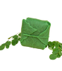 Moringa Soap
