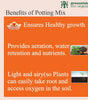 Greenvision Eco Organics Potting Mix Organic Manure 1 KG