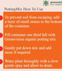 Greenvision Eco Organics Potting Mix Organic Manure 1 KG