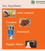 Greenvision Eco Organics Potting Mix Organic Manure 1 KG