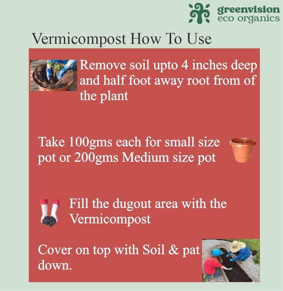 Greenvision Eco Organics Vermicompost Organic Manure 2 KG