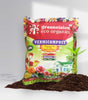 Greenvision Eco Organics Vermicompost Organic Manure 500 GM