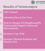 Greenvision Eco Organics Vermicompost Organic Manure 5 KG