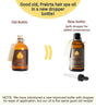 Hair Spa Oil Therapy