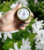 Jasmine Solid Perfume | Jasmine Perfume for Man & Woman