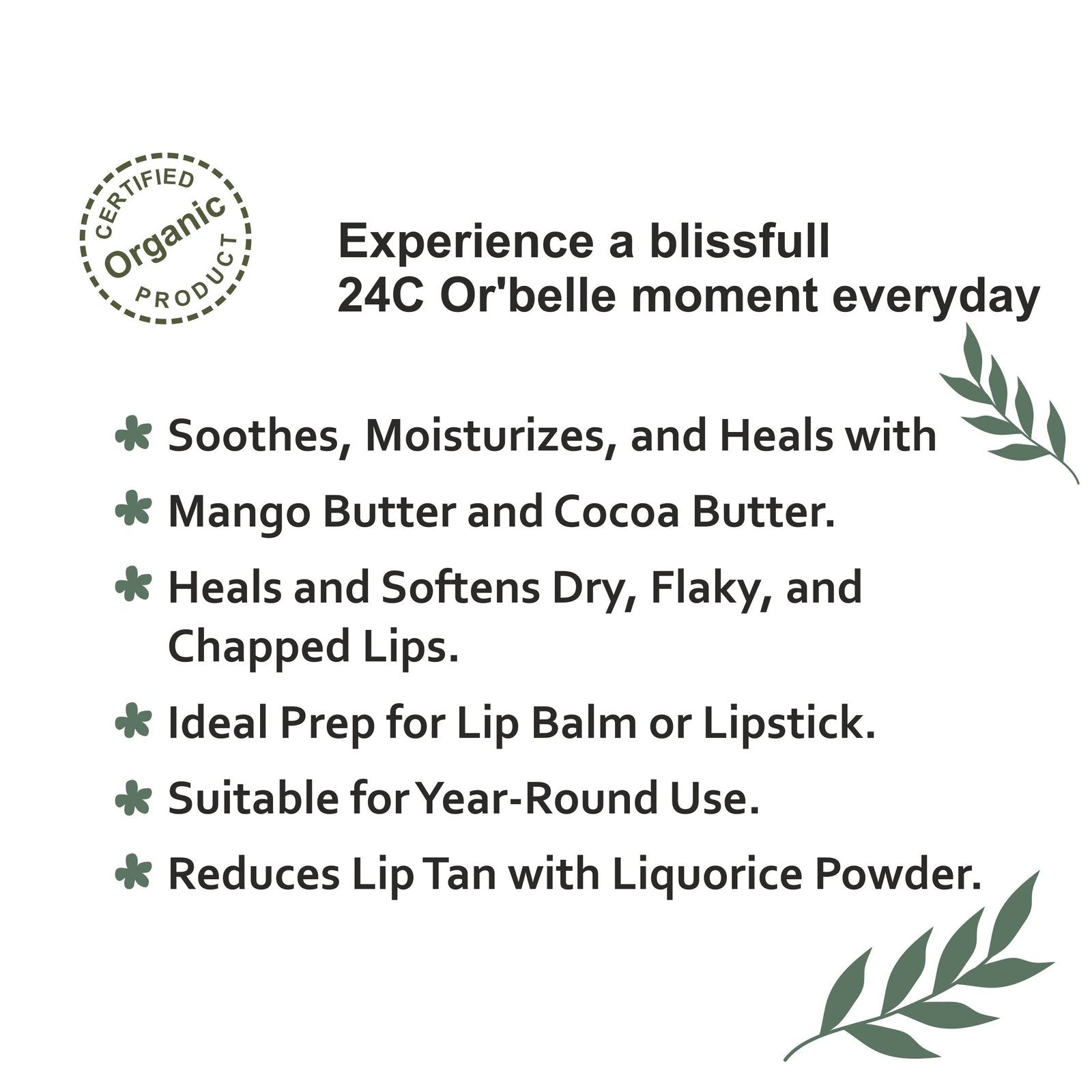 Lip Scrub
