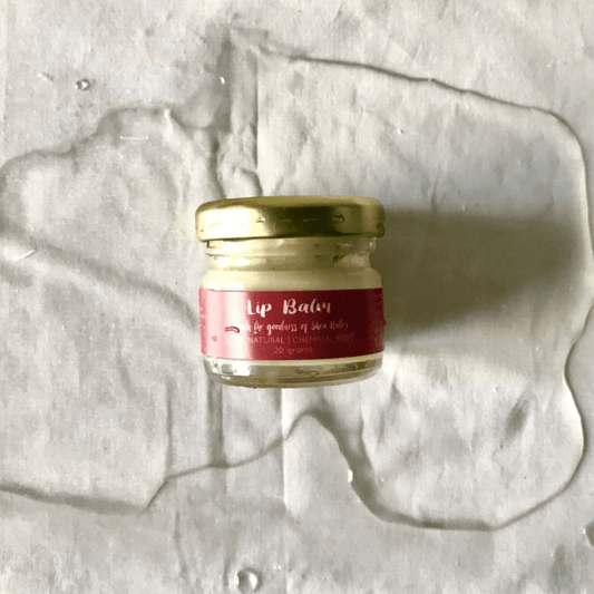 Lip Balm (Shea Butter Goodness)