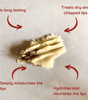 Lip Balm (Shea Butter Goodness)