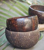 Coconut Bowl (Pack of 2)