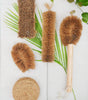 Coconut Fiber – Cleaning Kit (Pack of 5 Coir Brushes)