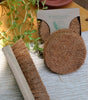 Coconut Fiber- Coir Scrub & Laundry Brush
