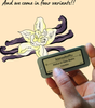 Natural Deodorant - Vanilla (10 g)