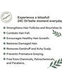 Phyto Hair Oil - Hair Fall Control