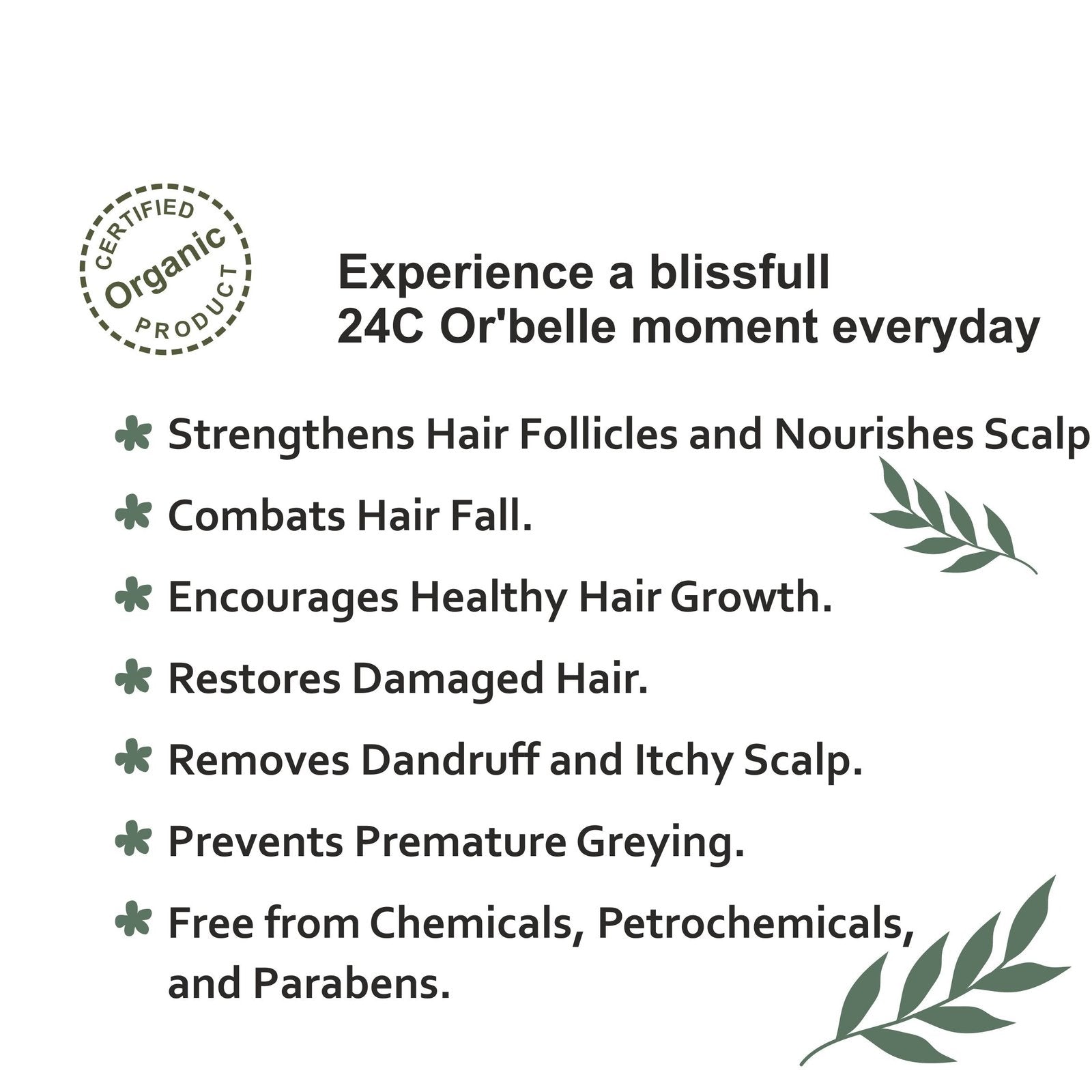 Phyto Hair Oil - Hair Fall Control