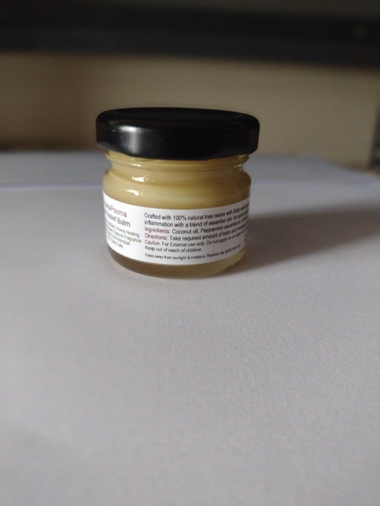 Praanapoorna Pain Relief Balm 25gm