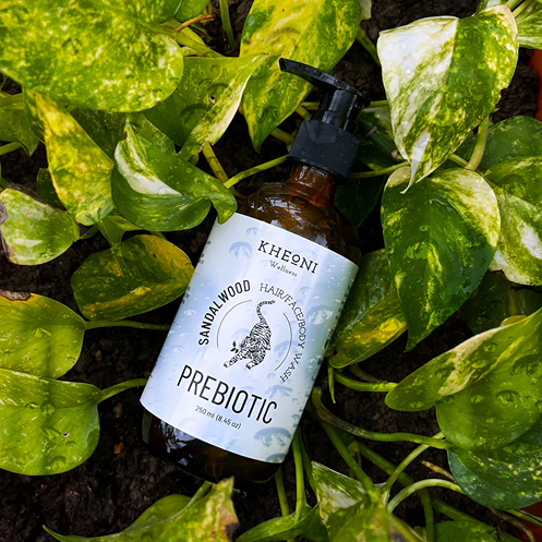 Prebiotic Sandalwood | Herbal Shampoo for Hair Fall | 3-in-1 Hair, Face & Body Wash