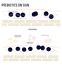 Probiotic Active Conditioner | Natural Conditioner for Hair