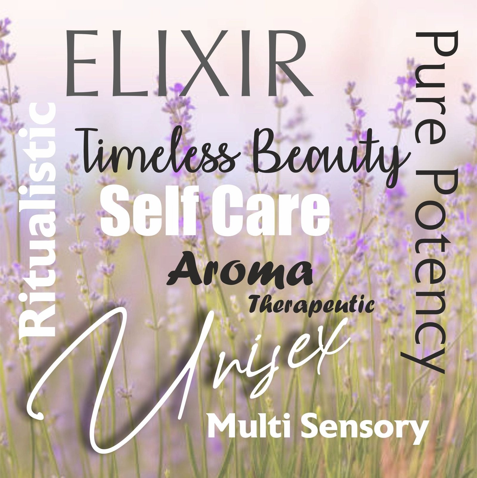 Rosemary essential oils