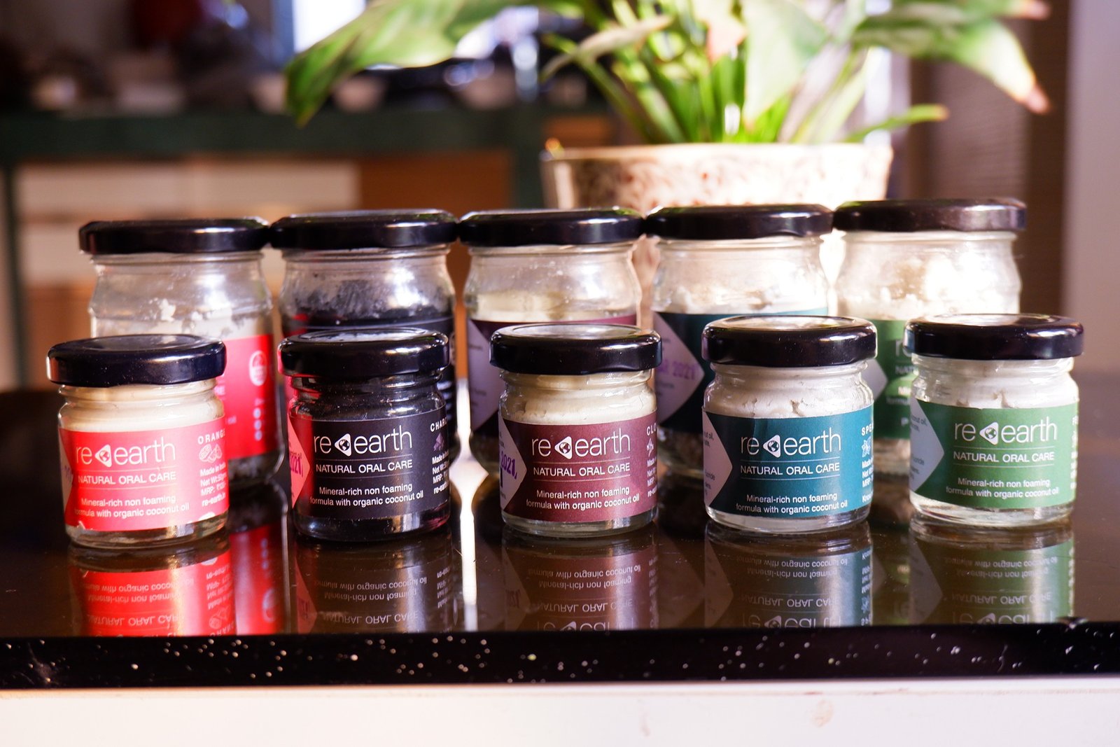 Spearmint Paste 100gms