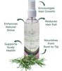 Vana | Rosemary Hair Tonic