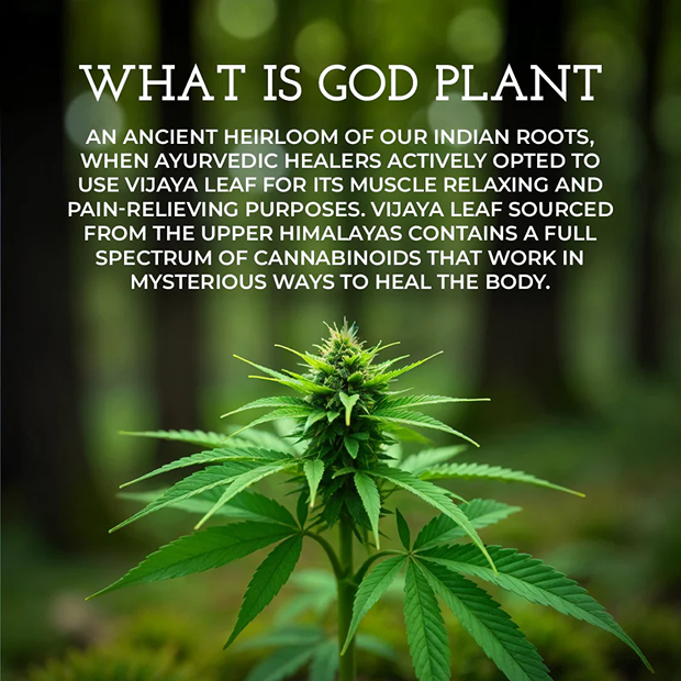 Vijaya Leaf Pain Relief Oil