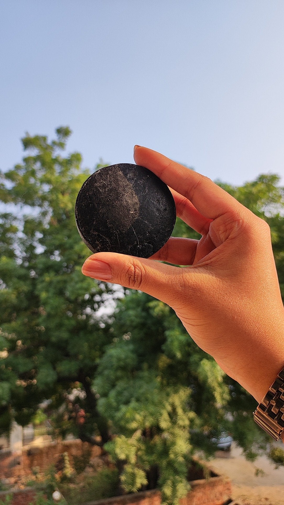 Zesty Charcoal Shampoo Bar for Detox and Oil Control